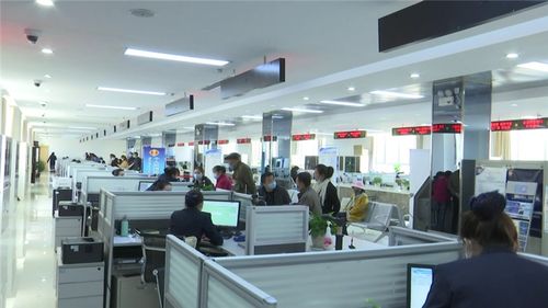 互聯(lián)網(wǎng) 政務服務 跑出便民利民加速度
