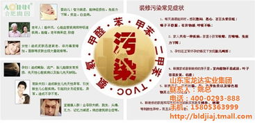 臨朐玻璃膠廠與寶龍達集團 如何利用個人互聯網服務實現在線咨詢？