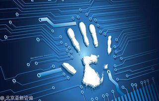 個人如何申請各類網絡文化經營許可證 全面指南與注意事項