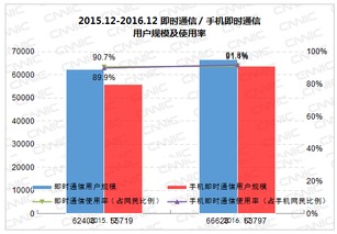 第39次CNNIC報告第九章 個人互聯網應用發展狀況與個人互聯網服務新趨勢