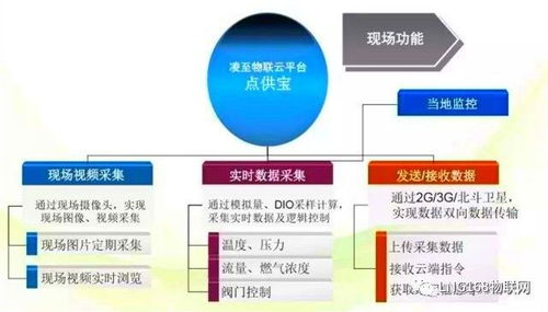 LNG物聯網技術團隊 專業網絡技術服務，驅動行業智能升級